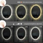 Luxe Dual-Glow LED Bathroom Mirror – Anti-Fog, Dimmable, Double Circle Design
